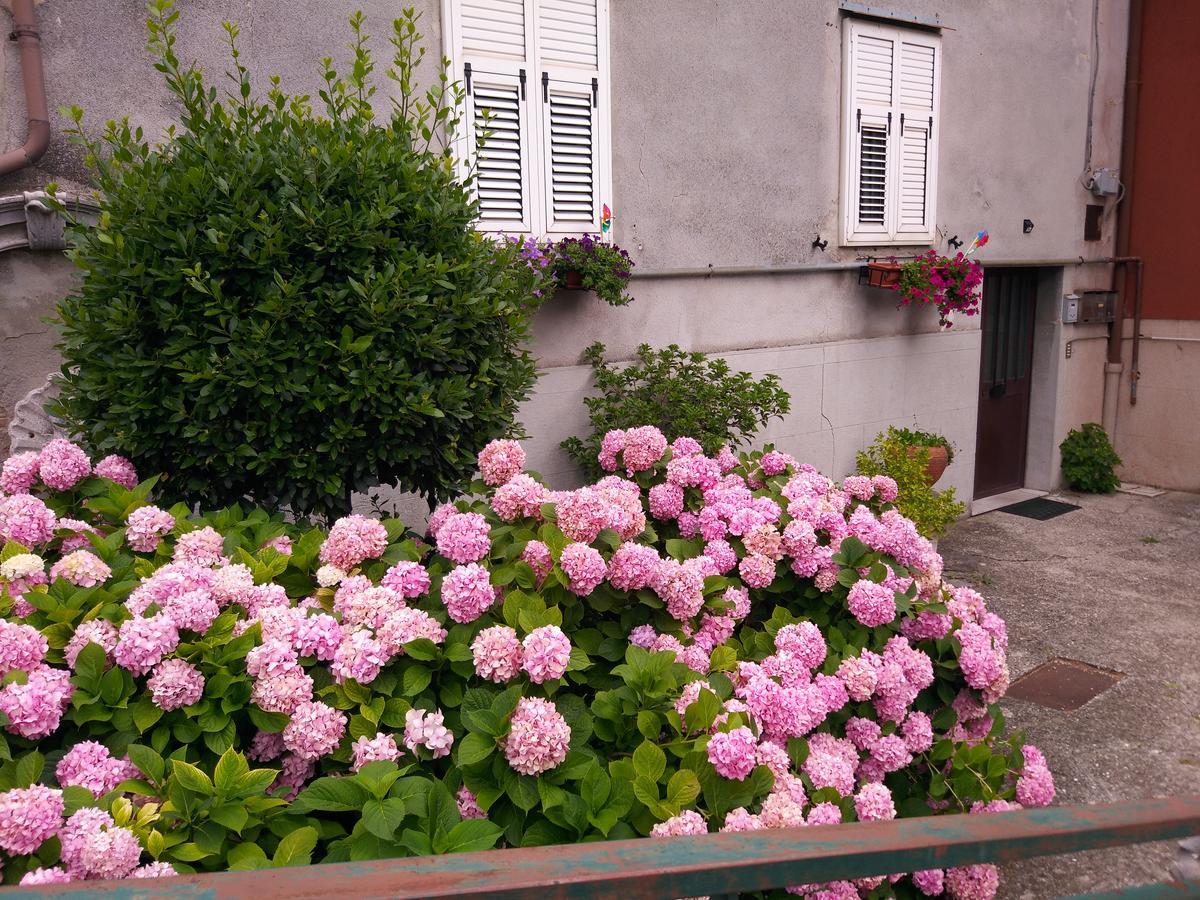 Villa A Casa Di Silvy Trieste Exterior foto